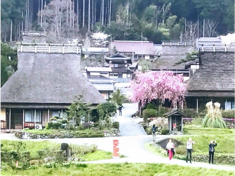 【京都・美山／京北／高尾】茅葺きの里と京北、神護寺と西明寺★ガイドと車で楽々紅葉巡り‼