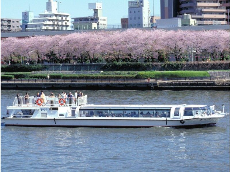 豊洲市場内部見学&築地場外市場でお買い物&隅田川千本桜クルーズと桜まつり見学バスツアー【13905】