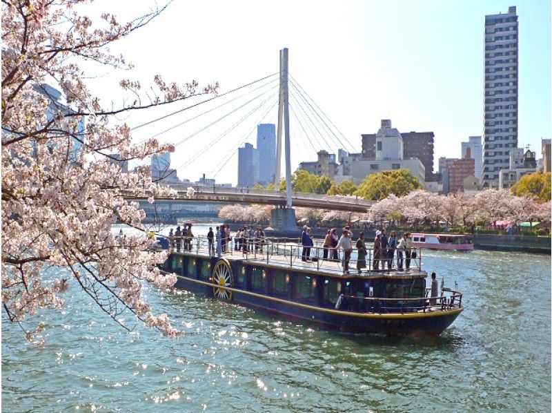 【大阪】オープンデッキ船「ひまわり号」大川桜お花見クルーズ!&「フェルメール展」観賞【13914】