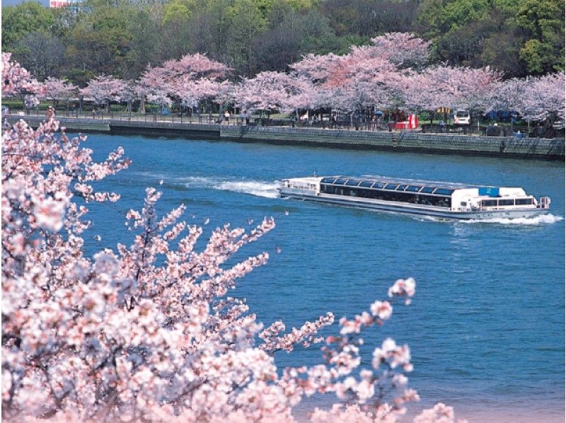 【大阪】両岸を彩る約4800本の桜回廊!大川桜お花見クルーズ 太閤園ランチバイキング【13915】