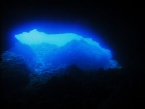 [Fun Diving] Cape Hedo *Boat diving (local coupon available plan)の画像