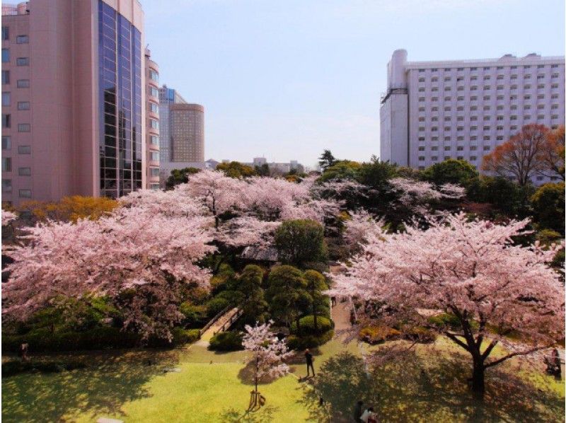 桜咲く皇居・東御苑の散策＆高輪桜まつり＆旧朝香宮邸と旧竹田宮邸の外観見学バスツアー【14022】