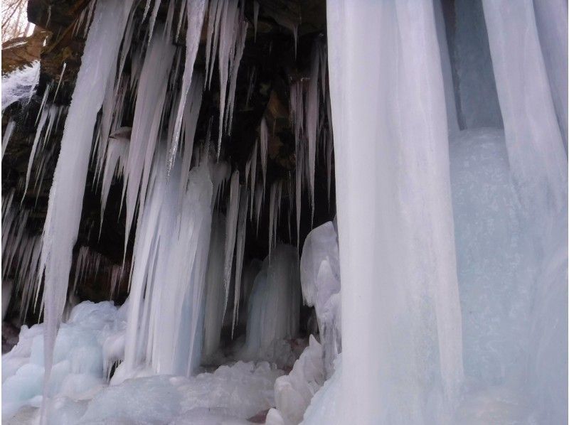 【軽井沢 長野／群馬】氷柱・氷瀑観賞ハイキング『秘境の氷瀑探し』☆冬の造形美を探しにゆこう！北軽井沢