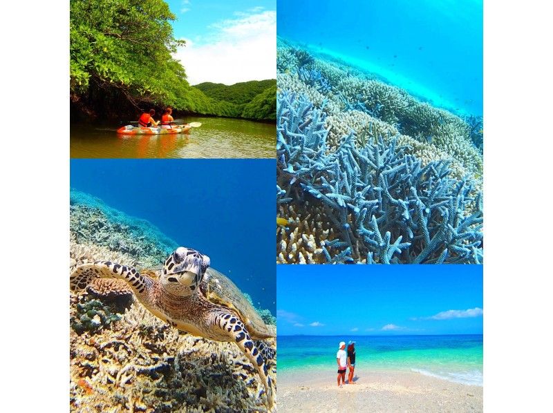 【石垣島・西表島】バラス島で海ガメと一緒に泳げるシュノーケル＆マングローブカヌー・秘境の滝巡り