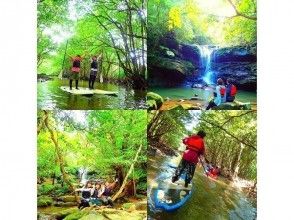 【世界遺産 西表島 半日】日本最大級仲間川マングローブSUP・カヌークルーズ＆ジャングル探検【ツアー写真データ無料】