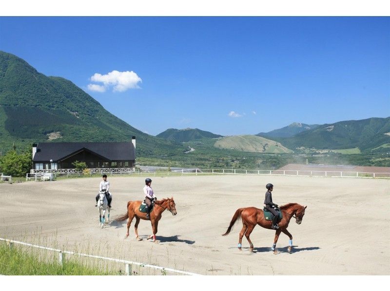 Horseback riding experience image in the horse riding club Crane Yufuin
