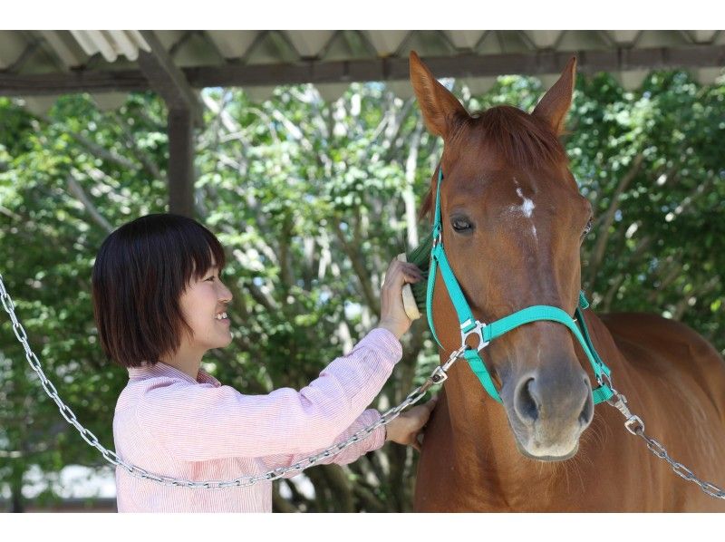 【群馬・高崎】初めてでも安心！マンツーマンで乗馬体験（送迎あり）