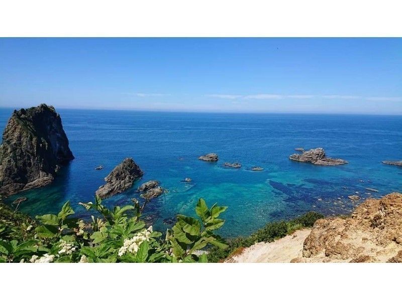【北海道・小樽発】観光タクシー・余市・積丹半島めぐりプラン(6時間~)
