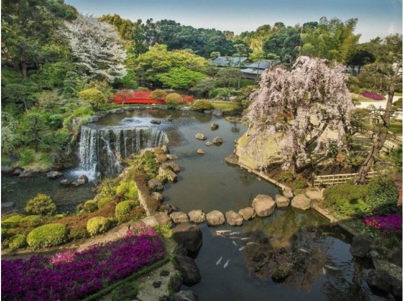 春の庭園特別公開と江戸しだれ桜のゆったり2景めぐりバスツアー【13911】