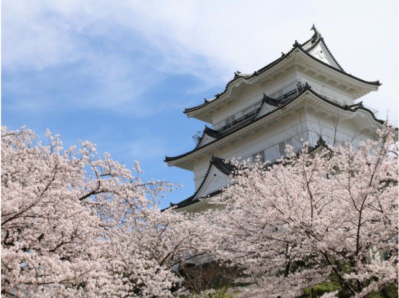特別公開「銅門（あかがねもん）」内部見学＆桜の「小田原城址公園」ガイド付散策ツアー【13781】