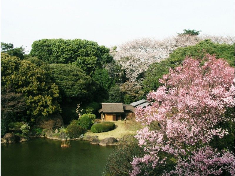 「両陛下と文化交流－日本美を伝える－」鑑賞＆桜名所6景＆しだれ桜咲く庭園特別見学バスツアー13889