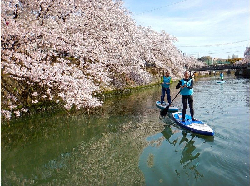 【横浜】桜お花見SUPツアー