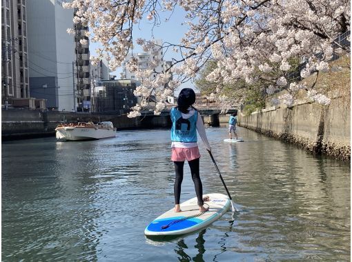 【横浜】桜お花見SUPツアーの画像