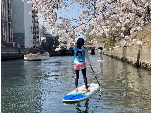 [ Yokohama 】 Cherry Ohanami SUP tourの画像