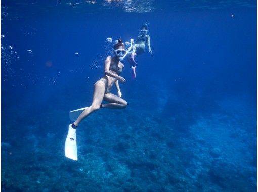 【沖縄県・石垣島】PM半日／マンタ・ウミガメとサンゴ礁で泳ぐシュノーケリング体験の画像