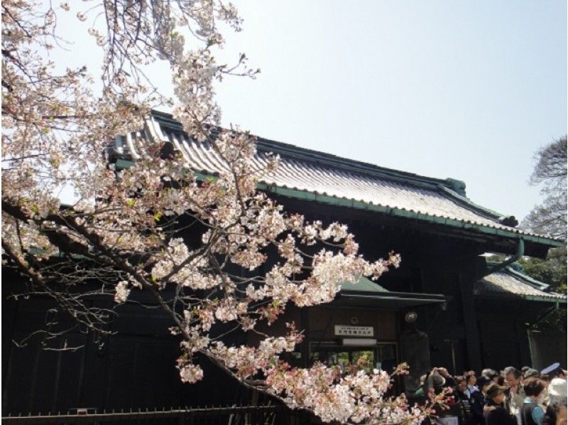 皇居「乾通り」特別公開&高輪桜まつり&目黒川桜のトンネル散策&隅田川クルーズバスツアー【14155】