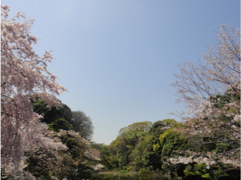 ＜平成最後の皇室カレンダー付！＞春の皇居「乾通り」一般公開＆桜舞う北の丸公園見学ツアー【14156】