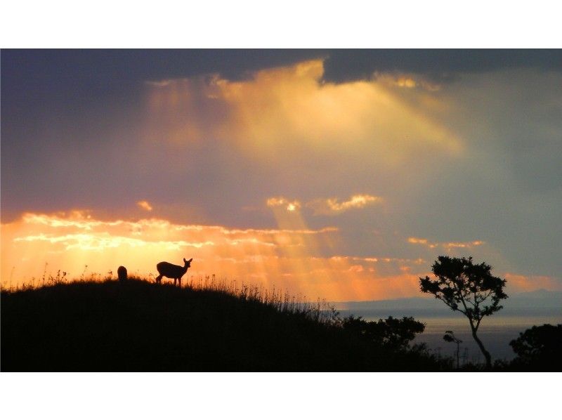 ☆世界自然遺産コアゾーン☆彡知床五湖 全周3時間☆昼のトレッキング☆