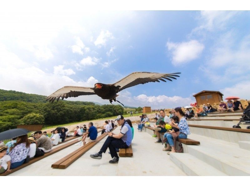 【JR宇都宮・那須塩原発】パフォーマンス溢れる動物園＆栃木名産とちおとめ狩りとお買物 U00114