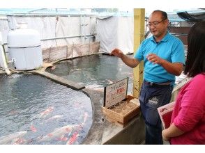 [Nara / Ikaruga] Japan's first goldfish seminar becomes Ikaruga! "Tour tour of a specialty fish shop"の画像
