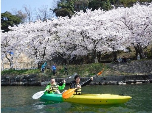 [Shiga ・ Biwako canoe] Spring cherry blossom viewing canoe tour (180 minutes) photo data present! ※ Hold for a limited time ※の画像