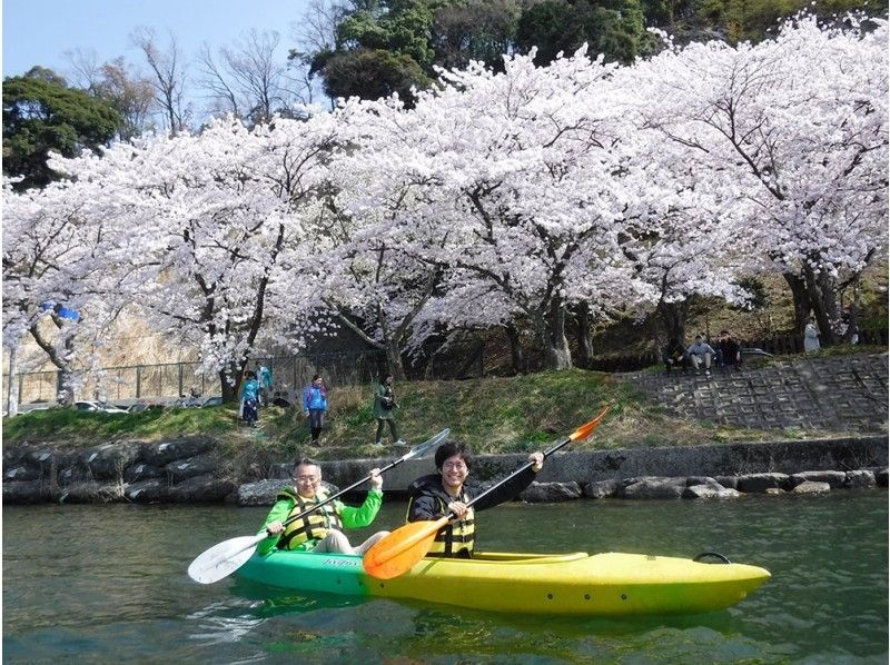 【滋賀・琵琶湖カヌー】春のさくらお花見カヌーツアー(180分)写真データプレゼント!※期間限定開催※