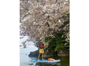 [Shiga Kaizu Osaki SUP] Cherry blossom viewing SUP tour from the lake (180 minutes) Photo data gift! *Limited time offer*