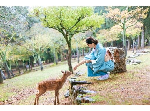 【奈良・奈良公園】スーパーセール！本格的な訪問着で奈良を散策しましょう！！の画像