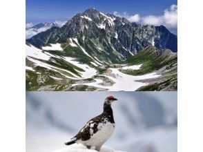 【富山県・立山】剱岳の天空の展望台へ!北アルプス立山連峰トレッキングツアー