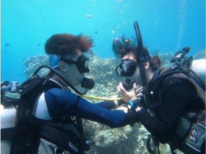 【沖縄・奥武島】PADIオープン・ウォーター・ダイバー・コース取得コース！										