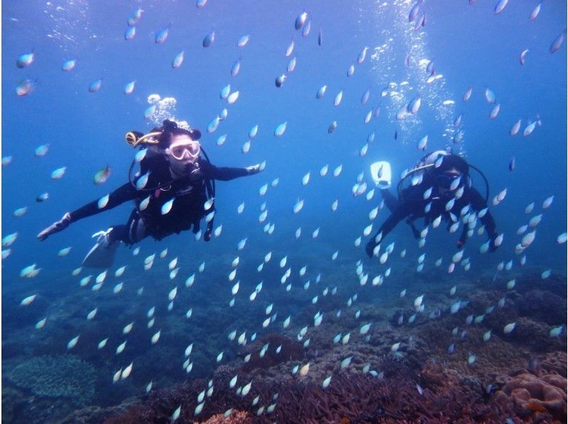 【沖縄・奥武島】1日で取れる！！PADIスクーバ・ダイバー・コース取得コース！