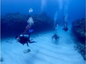 【那覇発】ケラマ諸島でボート体験ダイビング２ダイブ＋シュノーケリングの画像
