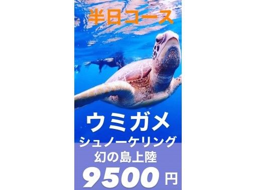[Swim with sea turtles] 95% chance of encountering them! Landing on a deserted island and amazing sea turtle snorkeling [half day] Photo giftの画像