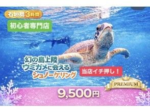 【半日｜石垣島】 幻の島上陸&times;ウミガメシュノーケリング 完全初心者専門｜ボートクルーズ
