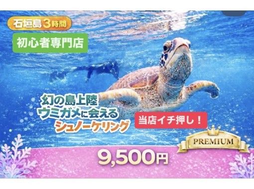 【初心者専門｜ボートクルーズ】幻の島上陸&times;ウミガメシュノーケリング｜石垣島3時間の画像