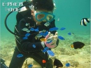 【沖縄・恩納村】初めての体験ダイビング ポイント独占・完全貸切 ミッションビーチのサンゴ礁でのんびりダイビング 写真動画無料プレゼント