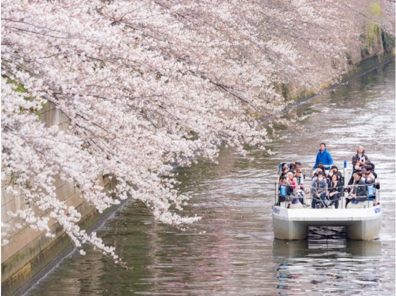 豊洲市場見学＆築地市場でお買い物＆目黒川桜トンネル貸切クルーズ付バスツアー【14308】