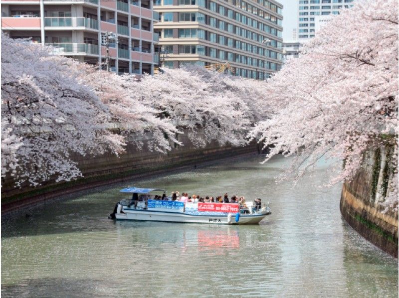 【北品川乗船】目黒川桜回廊観覧クルーズ【14226】