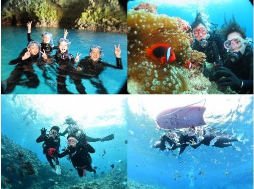 High probability of boating [Blue Cave snorkeling & trial diving] Free photos and videos with no restrictions | Feeding included | Shower parking lot free / Spring sale underwayの画像