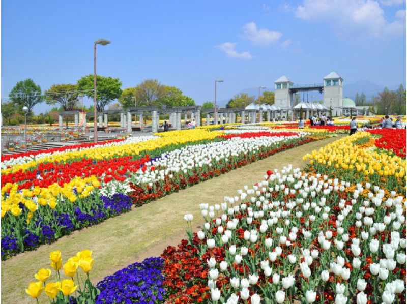 「ロックハート城」&20万球のチューリップ観賞&激安スイーツお買い物バスツアー【14158】