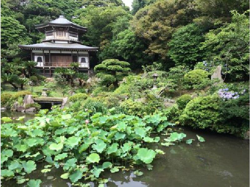特別に山門の上をご案内！古都鎌倉　浄土宗の寺を歩く～光明寺・山門特別拝観と日曜法話～【14159】