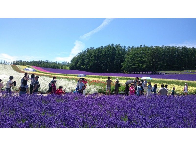 【北海道・層雲峡発】夏のひがし北海道周遊バス 層雲峡温泉⇒新千歳空港・札幌