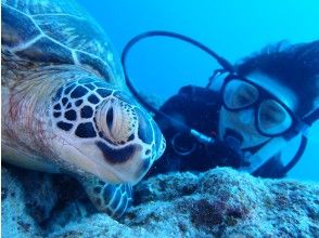 マッサダイビングクラブ MASSA DIVING CLUBの割引プラン