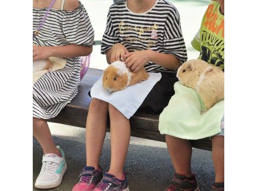 千葉 本八幡 プライベートツアー 動物とふれあい ゲーセンで遊び放題 子供も大人も大満足の旅 アクティビティジャパン