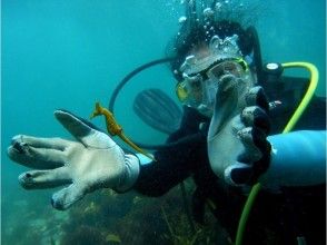 [Chiba Katsuura] Beach and boat diving Katsuura Diving Resort or Namekawa diving services