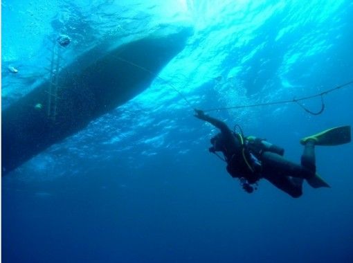 [Chiba Katsuura boat diving Katsuura Diving Resort or Namekawa diving services [2] Diveの画像