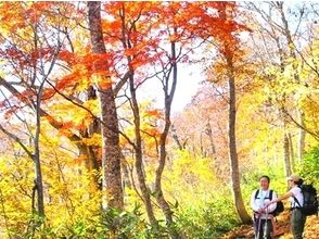 [후쿠시마· 오세] 오세 등산 계획 (가이드 1 인당 참가자는 8 명까지)