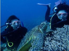 2025年4月度Google口コミ数「沖縄ダイビング」1位！那覇発・半日・慶良間諸島・海ガメに逢える!?カメラレンタル付！体験ダイビング２回