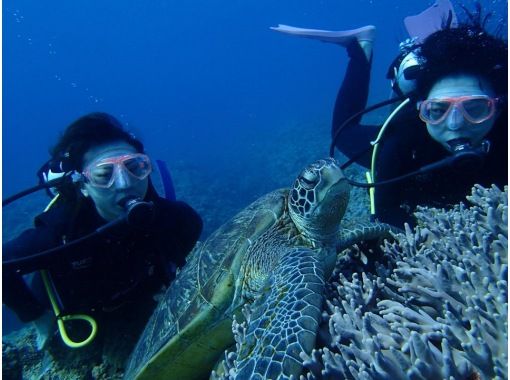 2025年4月度Google口コミ数「沖縄ダイビング」1位！那覇発・半日・慶良間諸島・海ガメに逢える!?カメラレンタル付！体験ダイビング２回の画像
