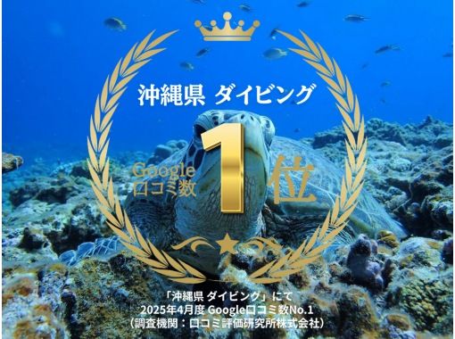 2025年4月度Google口コミ数「沖縄ダイビング」1位！那覇発・半日・慶良間諸島・海ガメに逢える!?カメラレンタル付！体験ダイビング２回の画像